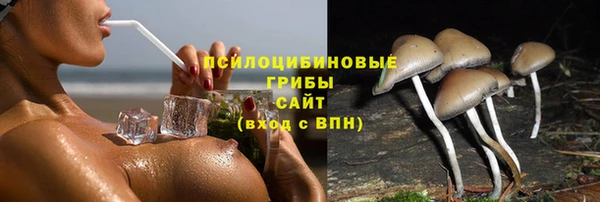 трава Пролетарск