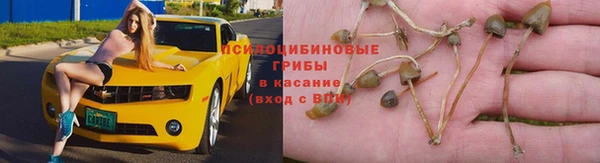 трава Пролетарск