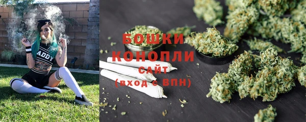 гашик Протвино